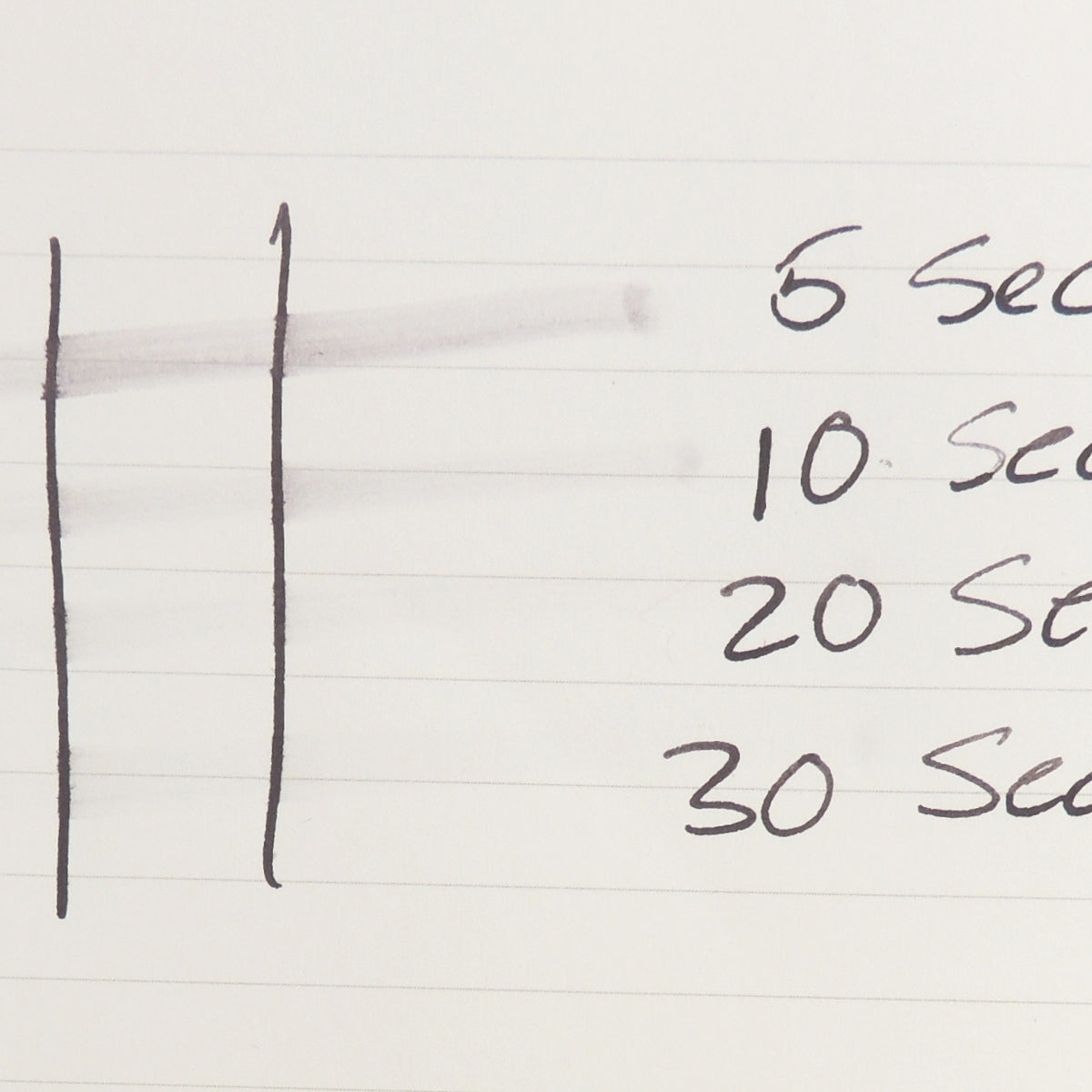 Ostrich Series 5 Premium Dye Based Fountain Pen Ink Bottle, Black, 60ml, Water-Resistant