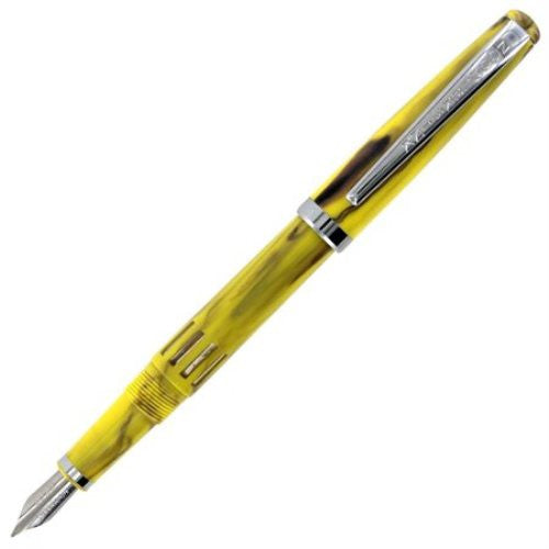 noodlers-standard-fountain-pen-bumblebee-pensavings