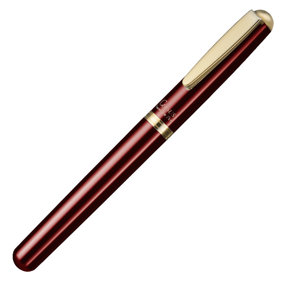 Ohto-celsus-fountain-pen-wine-pensavings